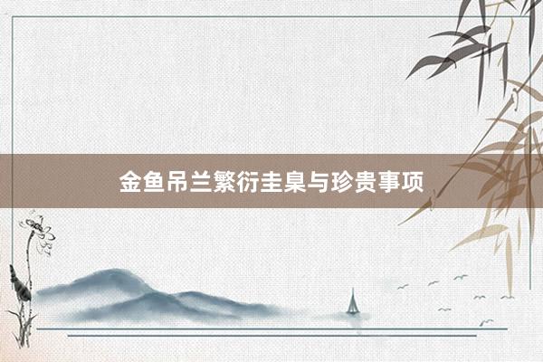 金鱼吊兰繁衍圭臬与珍贵事项