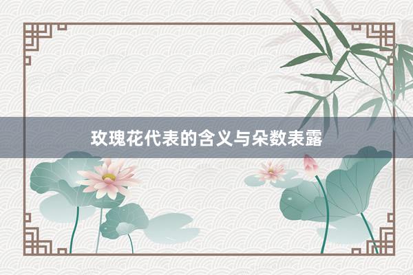玫瑰花代表的含义与朵数表露