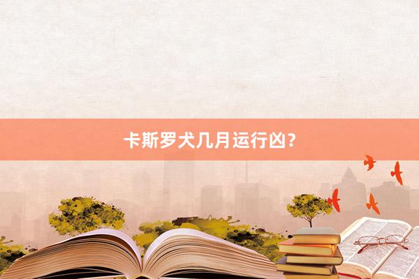 卡斯罗犬几月运行凶？